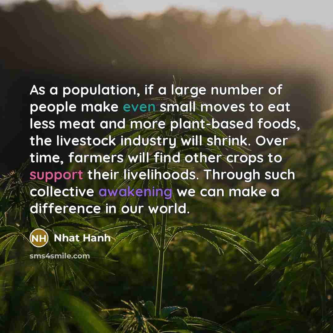 “As a population, if a large number of people make…” quote by Nhat Hanh