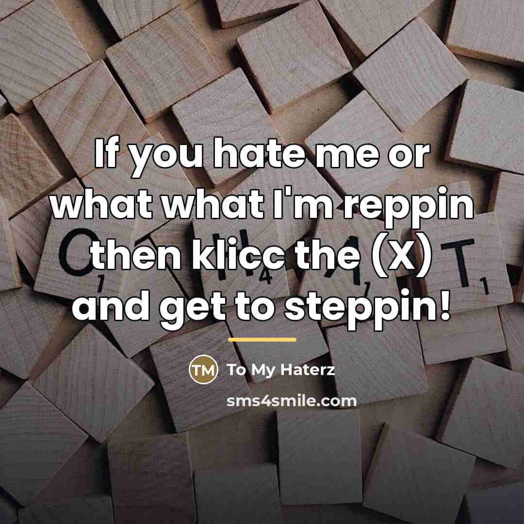 “If you hate me or what what I'm reppin then…” quote by To My Haterz