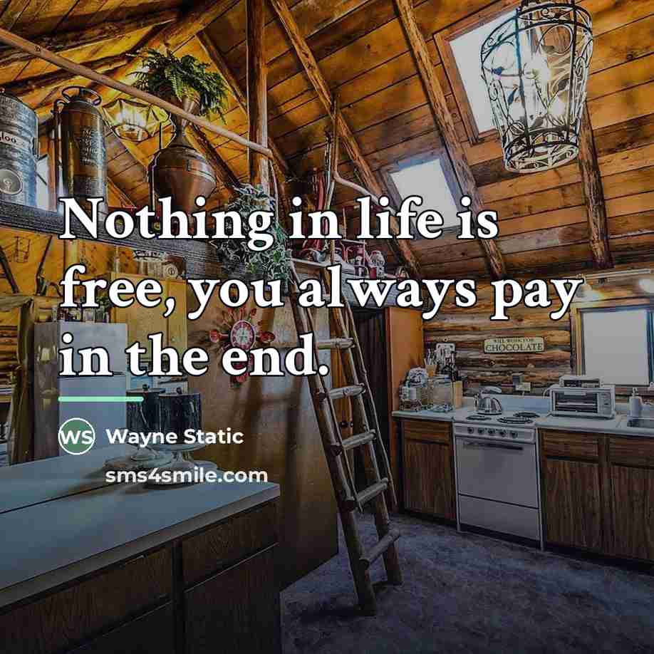 “Nothing in life is free, you always pay in the…” quote by Wayne Static