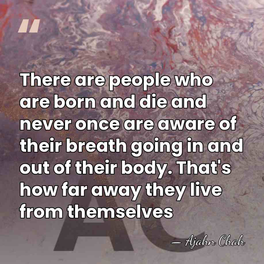 There are people who are born and die and never once are&hellip; - Ajahn Chah