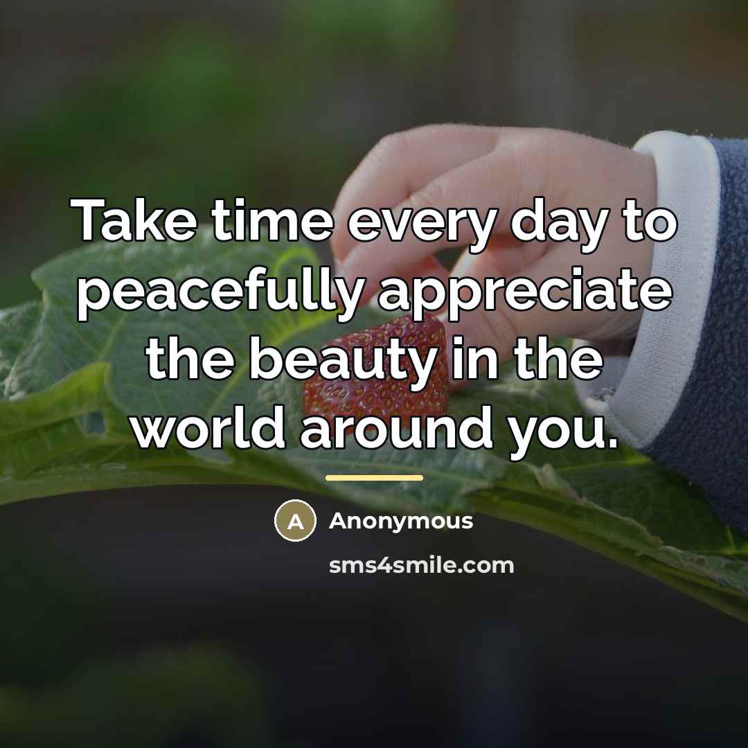 “Take time every day to peacefully appreciate the beauty in…” quote by Anonymous