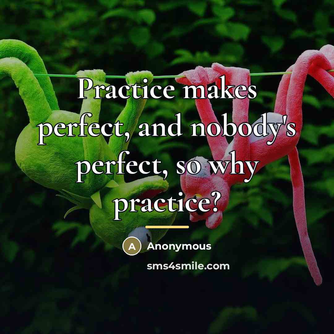 “Practice makes perfect, and nobody's perfect, so why practice?…” quote by Anonymous