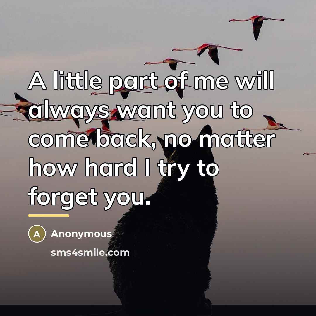 “A little part of me will always want you to come back, no matter how hard I try to forget you.” quote by Anonymous