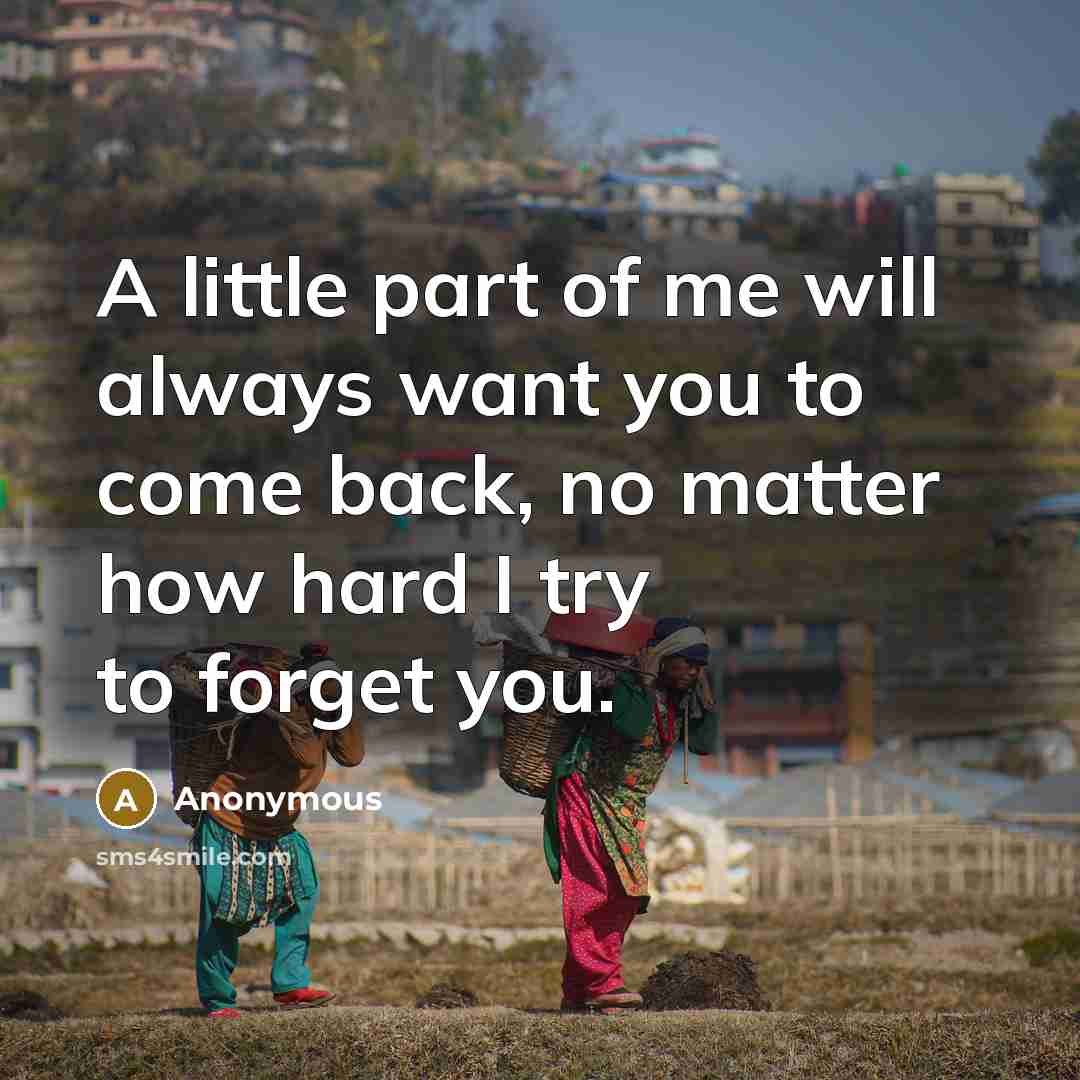 “A little part of me will always want you to come back, no matter how hard I try to forget you.” quote by Anonymous