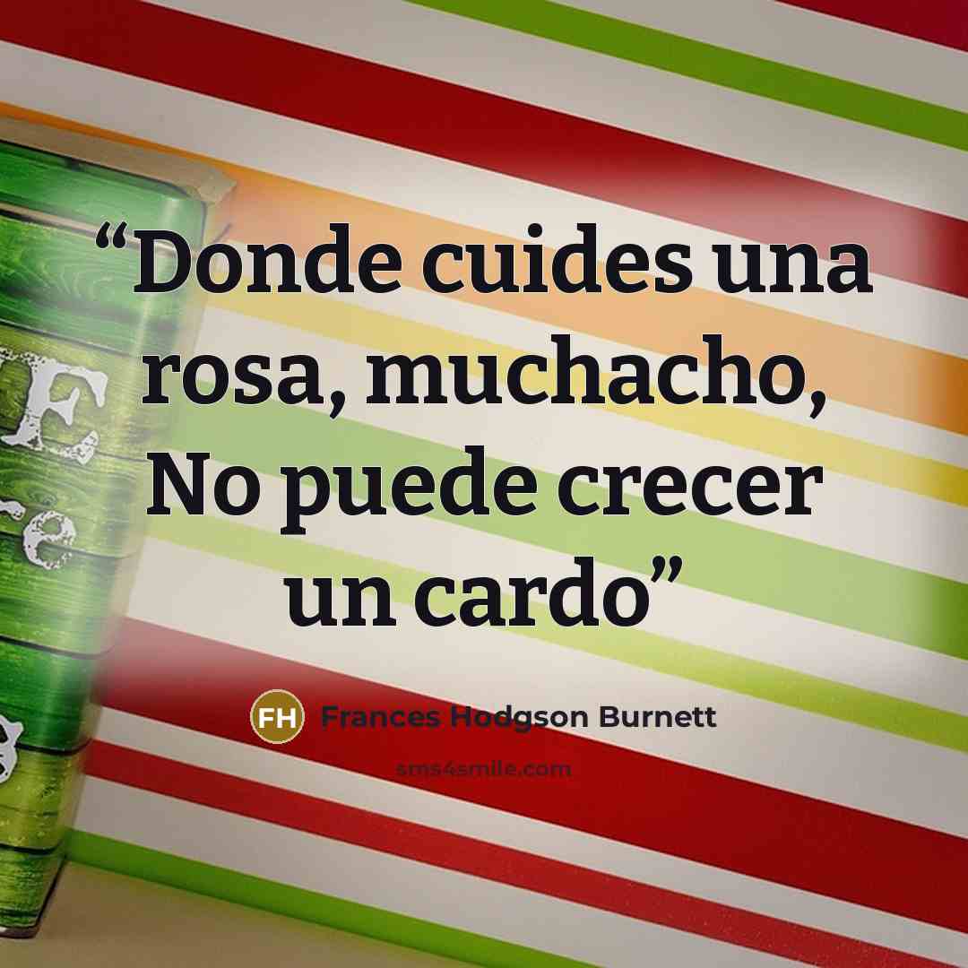 “Donde cuides una rosa, muchacho, No puede crecer un cardo” quote by Frances Hodgson Burnett