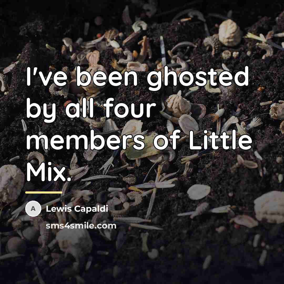 “I've been ghosted by all four members of Little Mix.…” quote by Lewis Capaldi