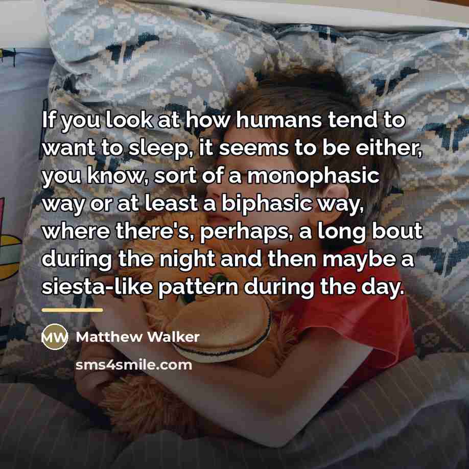 “If you look at how humans tend to want to…” quote by Matthew Walker