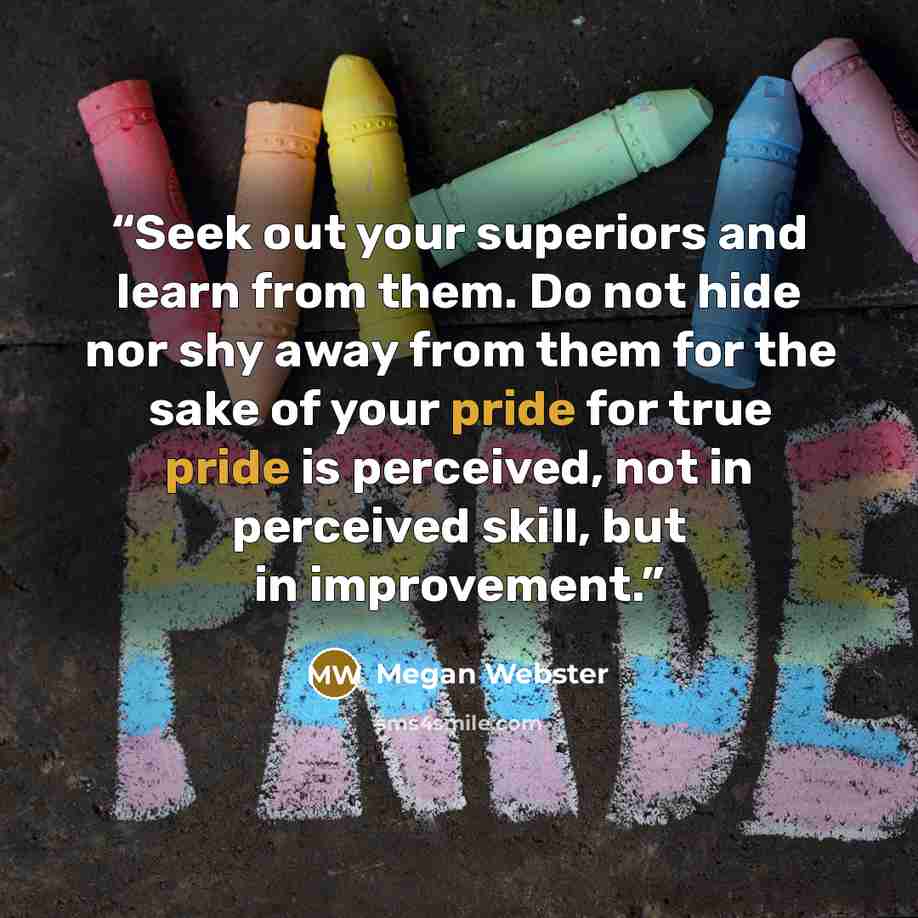 “Seek out your superiors and learn from them. Do not hide nor shy away from them for the sake of your pride for true pride is perceived, not in perceived skill, but in improvement.” quote by Megan Webster