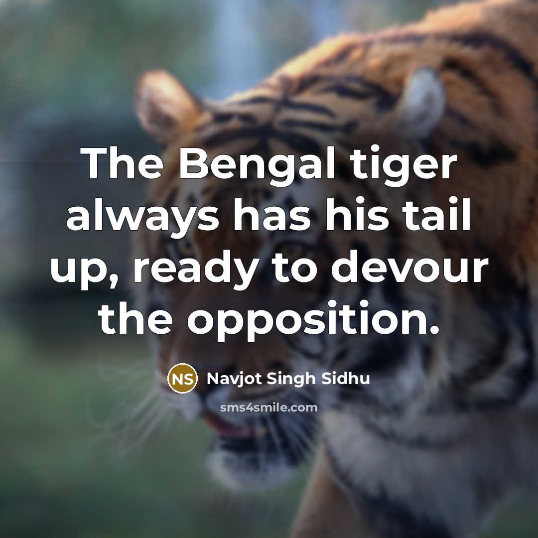 “The Bengal tiger always has his tail up, ready to…” quote by Navjot Singh Sidhu