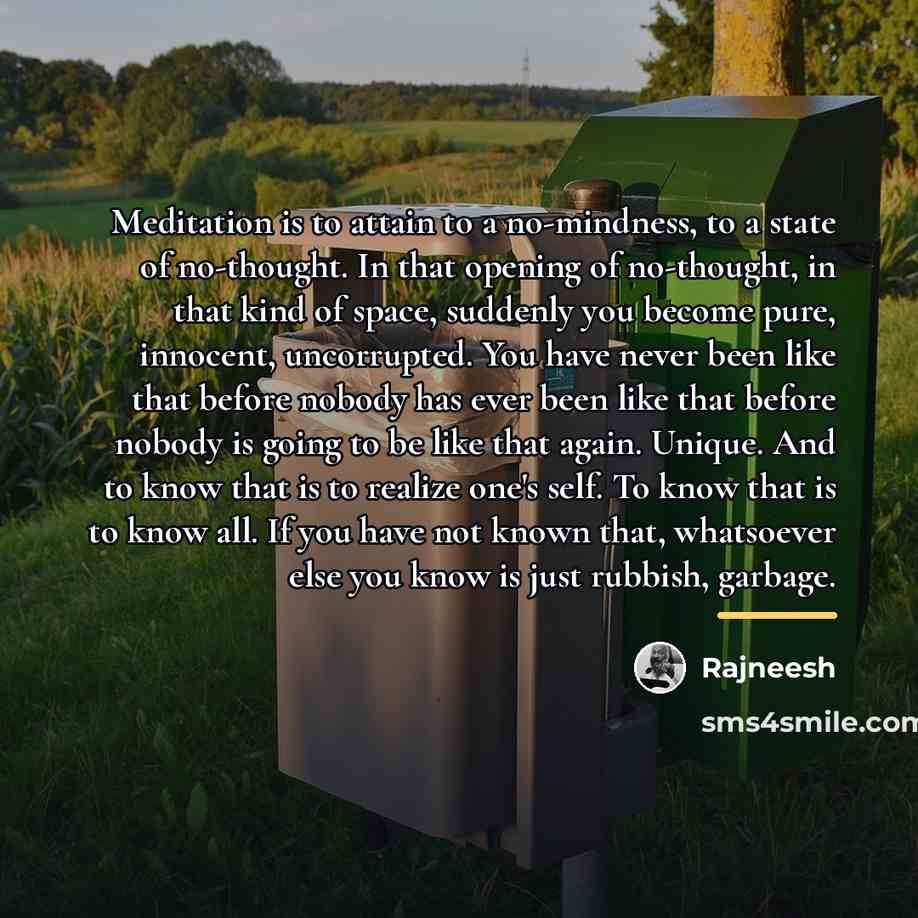 “Meditation is to attain to a no-mindness, to a state…” quote by Rajneesh