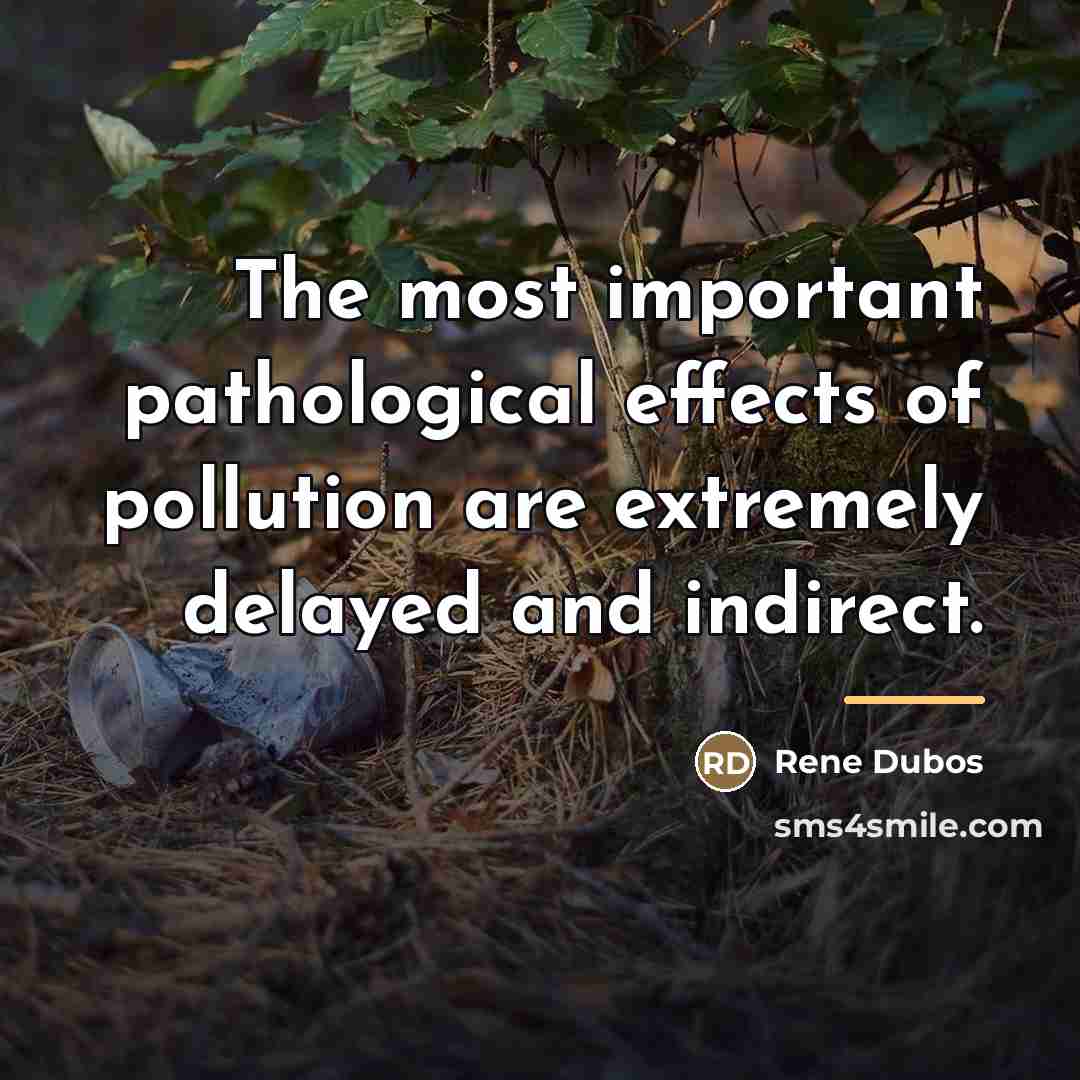 “The most important pathological effects of pollution are extremely delayed…” quote by Rene Dubos