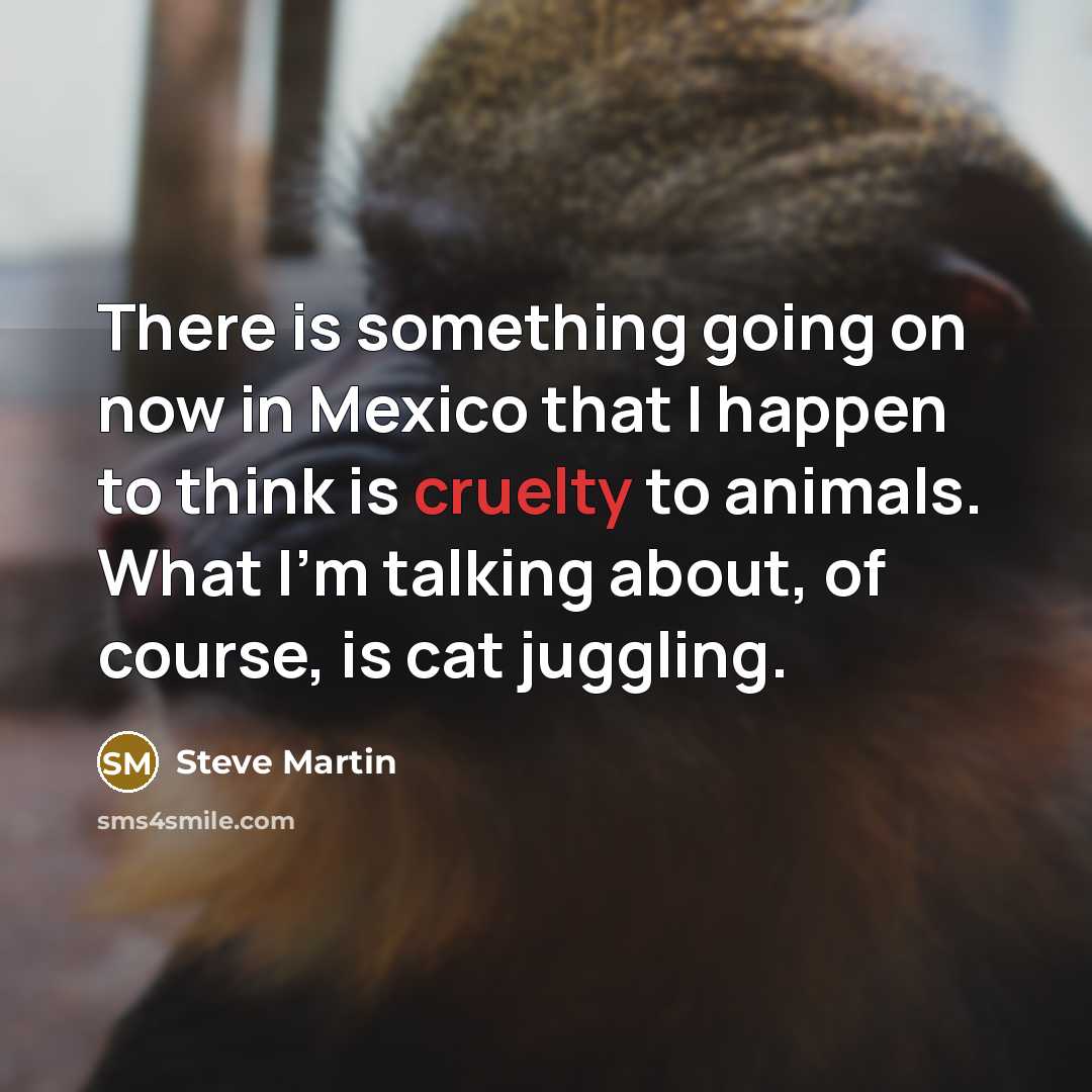 “There is something going on now in Mexico that I…” quote by Steve Martin