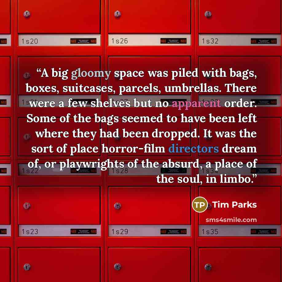 “A big gloomy space was piled with bags, boxes, suitcases, parcels, umbrellas. There were a few shelves but no apparent order. Some of the bags seemed to have been left where they had been dropped. It was the sort of place horror-film directors dream of, or playwrights of the absurd, a place of the…” quote by Tim Parks