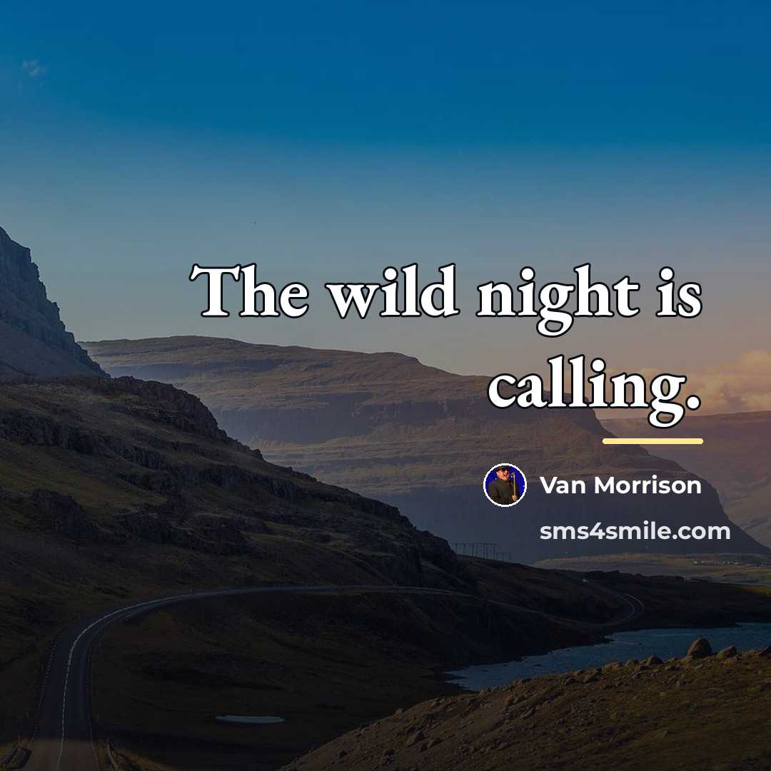 “The wild night is calling.…” quote by Van Morrison