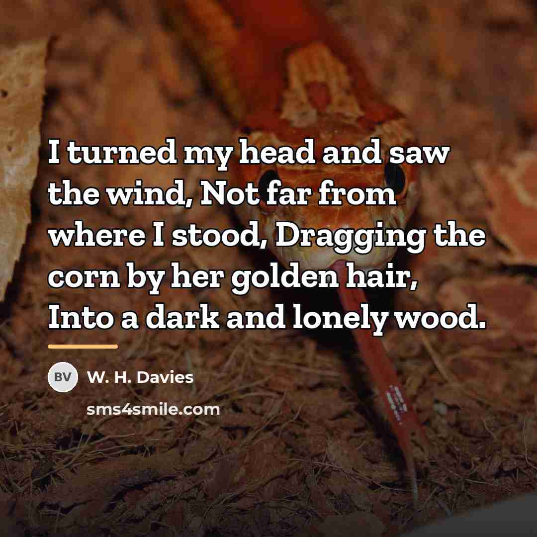 “I turned my head and saw the wind, Not far…” quote by W. H. Davies