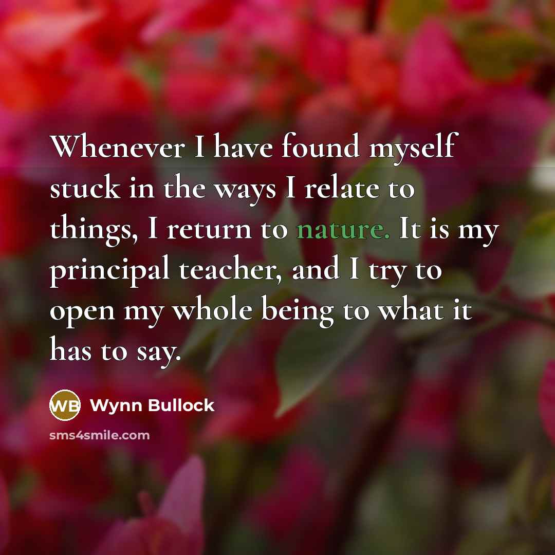 “Whenever I have found myself stuck in the ways I…” quote by Wynn Bullock