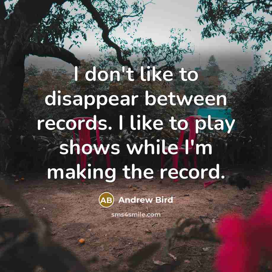 “I don't like to disappear between records. I like to…” quote by Andrew Bird