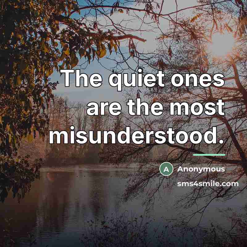 “The quiet ones are the most misunderstood.…” quote by Anonymous