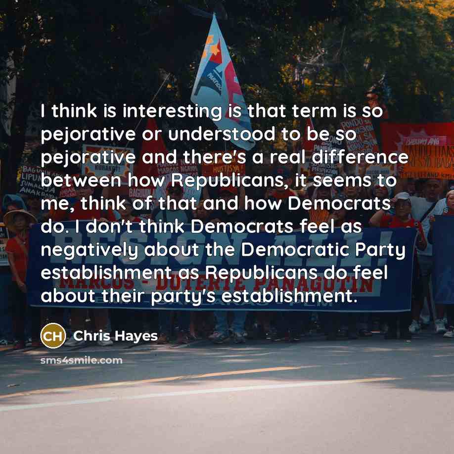 “I think is interesting is that term is so pejorative…” quote by Chris Hayes