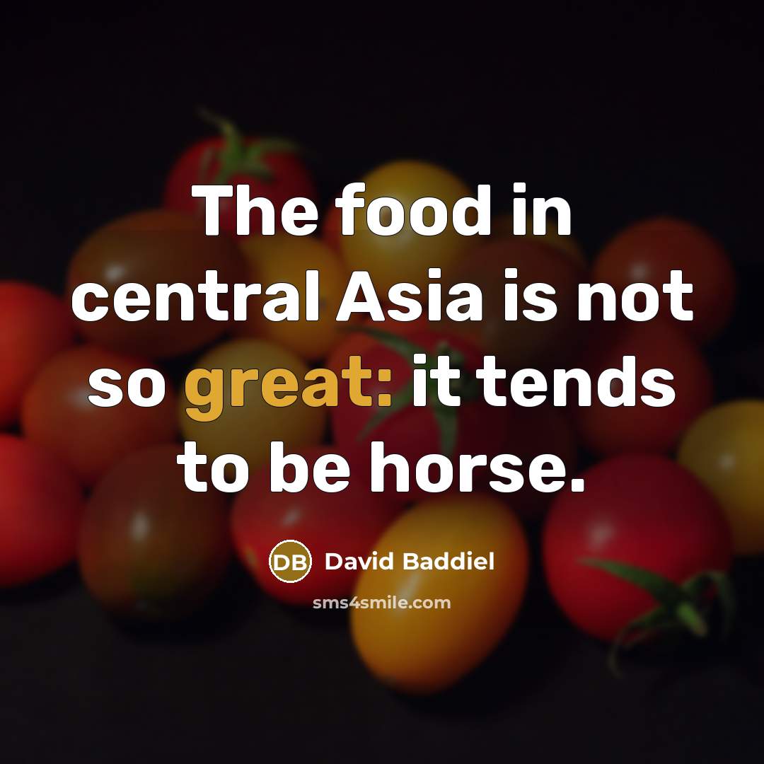 “The food in central Asia is not so great: it…” quote by David Baddiel