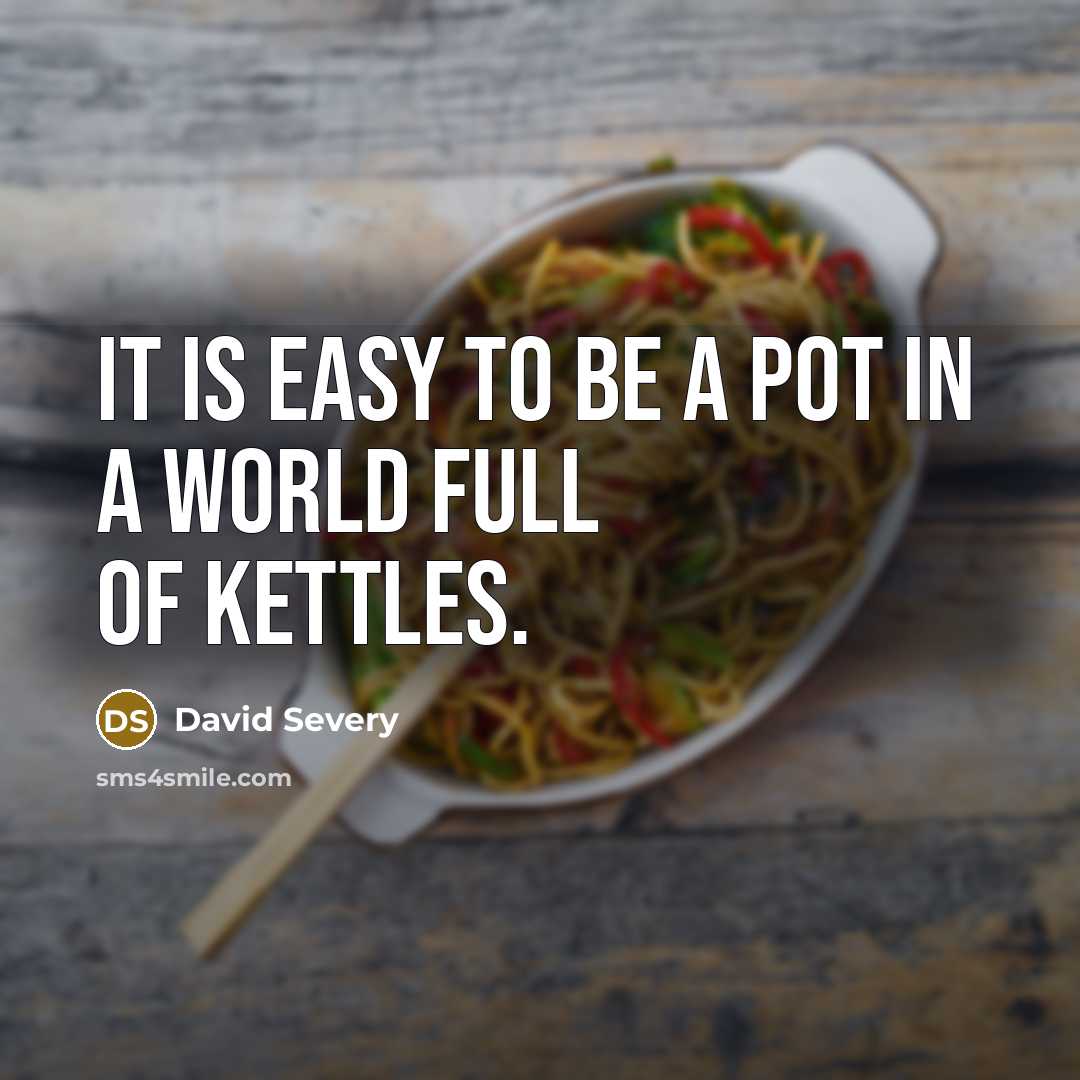“It is easy to be a pot in a world full of kettles.” quote by David Severy