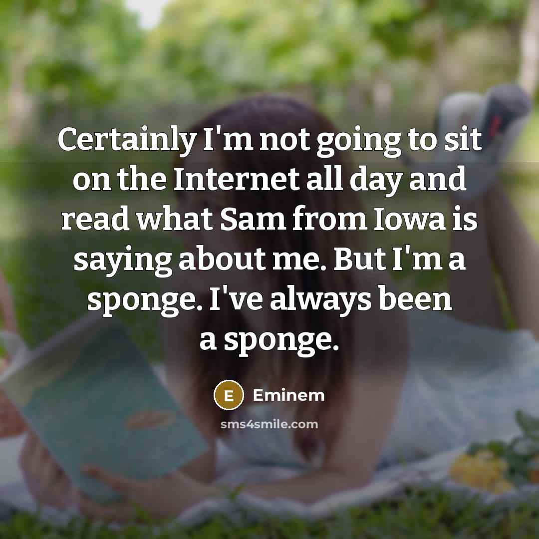 “Certainly I'm not going to sit on the Internet all…” quote by Eminem