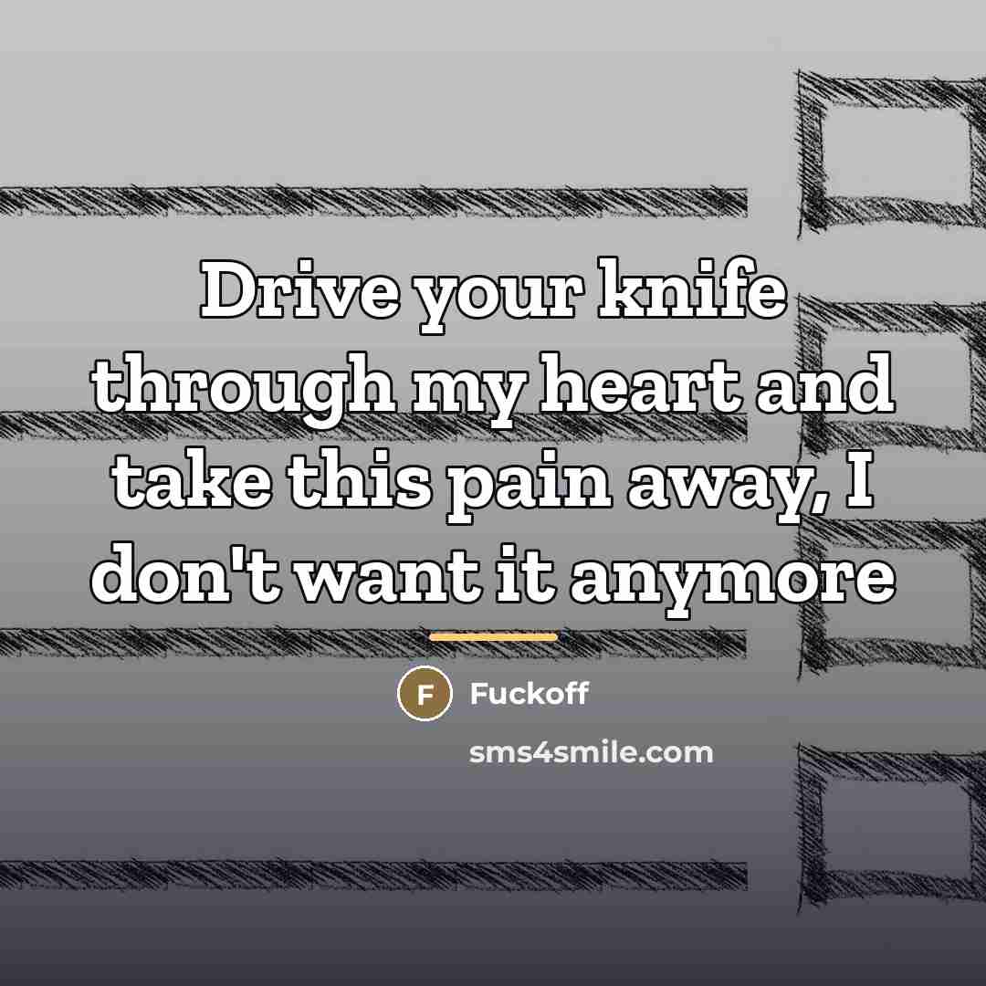 “Drive your knife through my heart and take this pain…” quote by Fuckoff