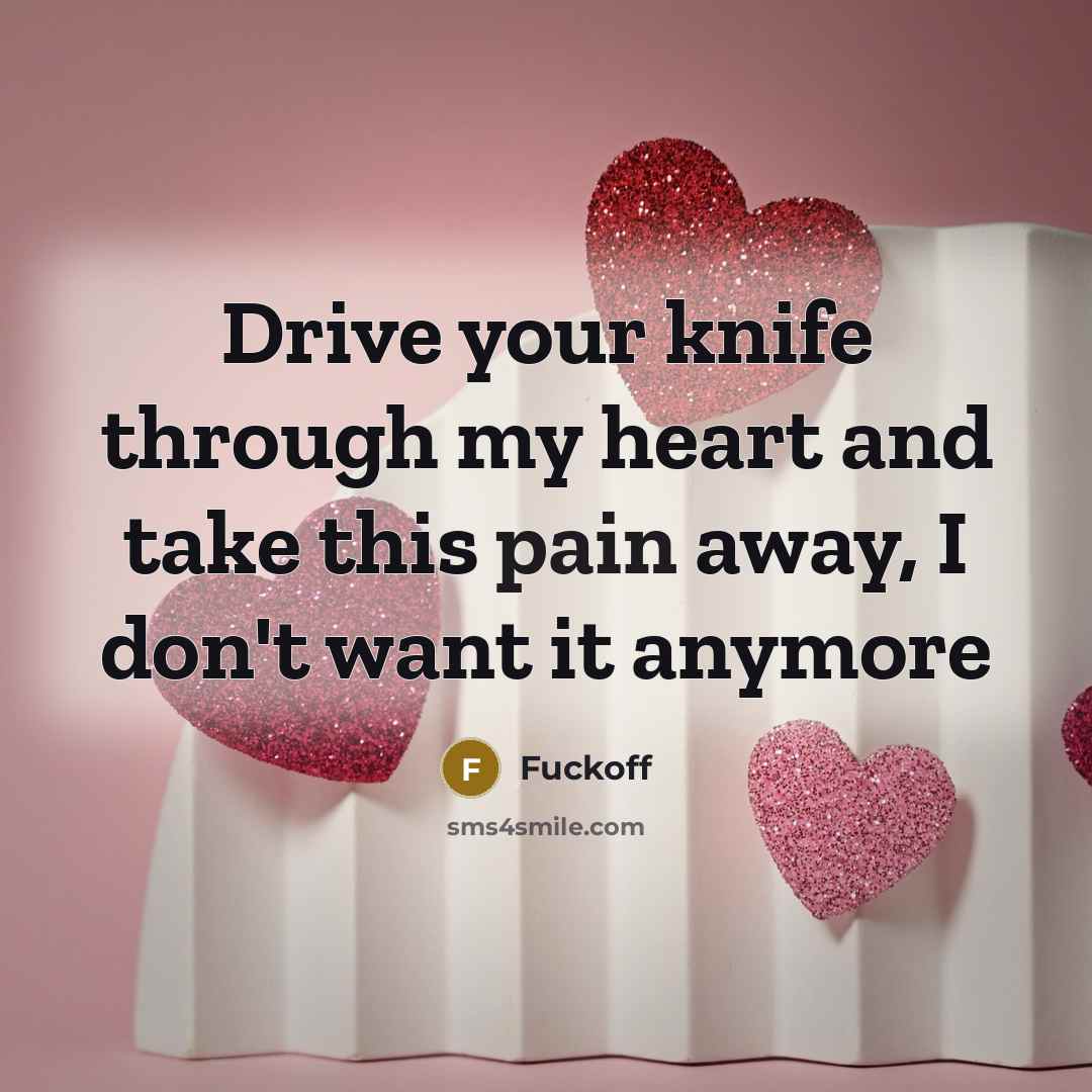“Drive your knife through my heart and take this pain away, I don't want it anymore” quote by Fuckoff
