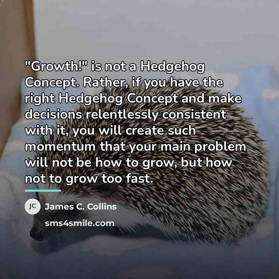 “"Growth!" is not a Hedgehog Concept. Rather, if you have…” quote by James C. Collins