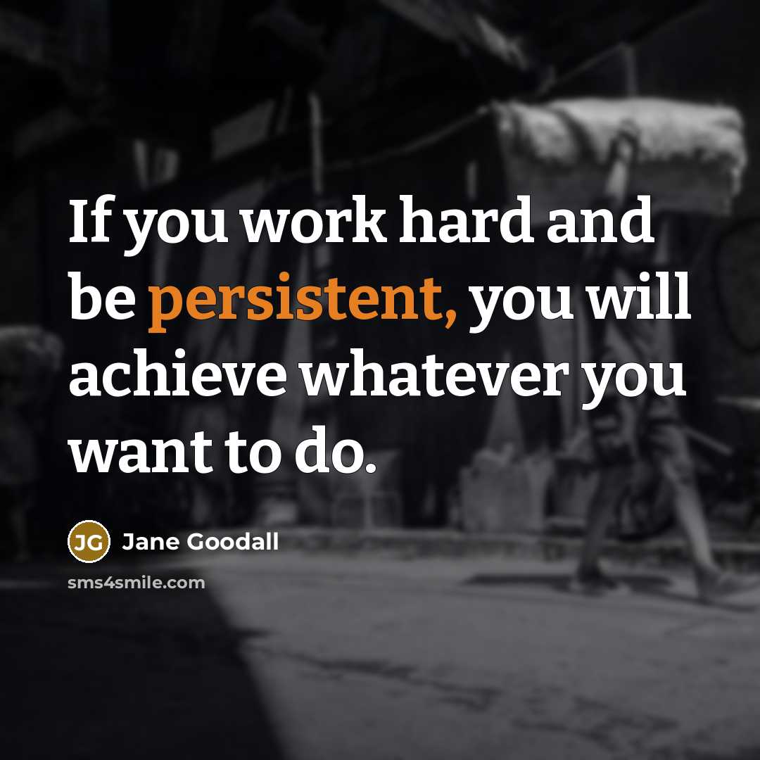 “If you work hard and be persistent, you will achieve…” quote by Jane Goodall