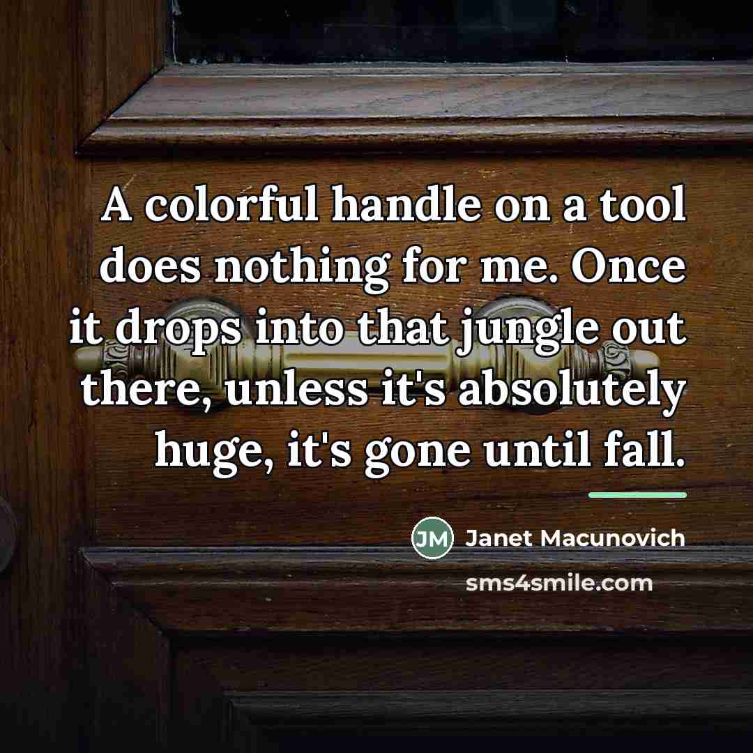 “A colorful handle on a tool does nothing for me.…” quote by Janet Macunovich
