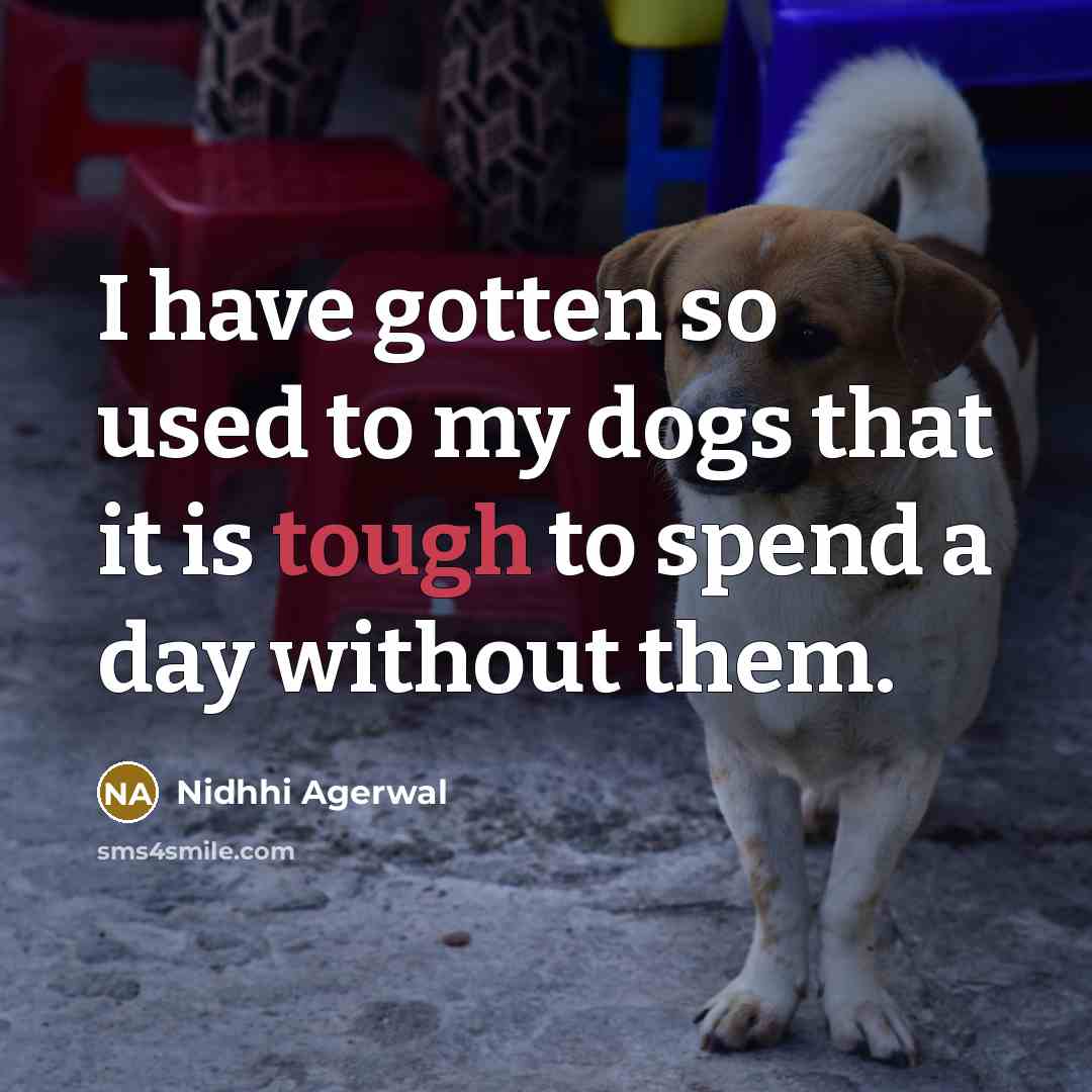 “I have gotten so used to my dogs that it…” quote by Nidhhi Agerwal