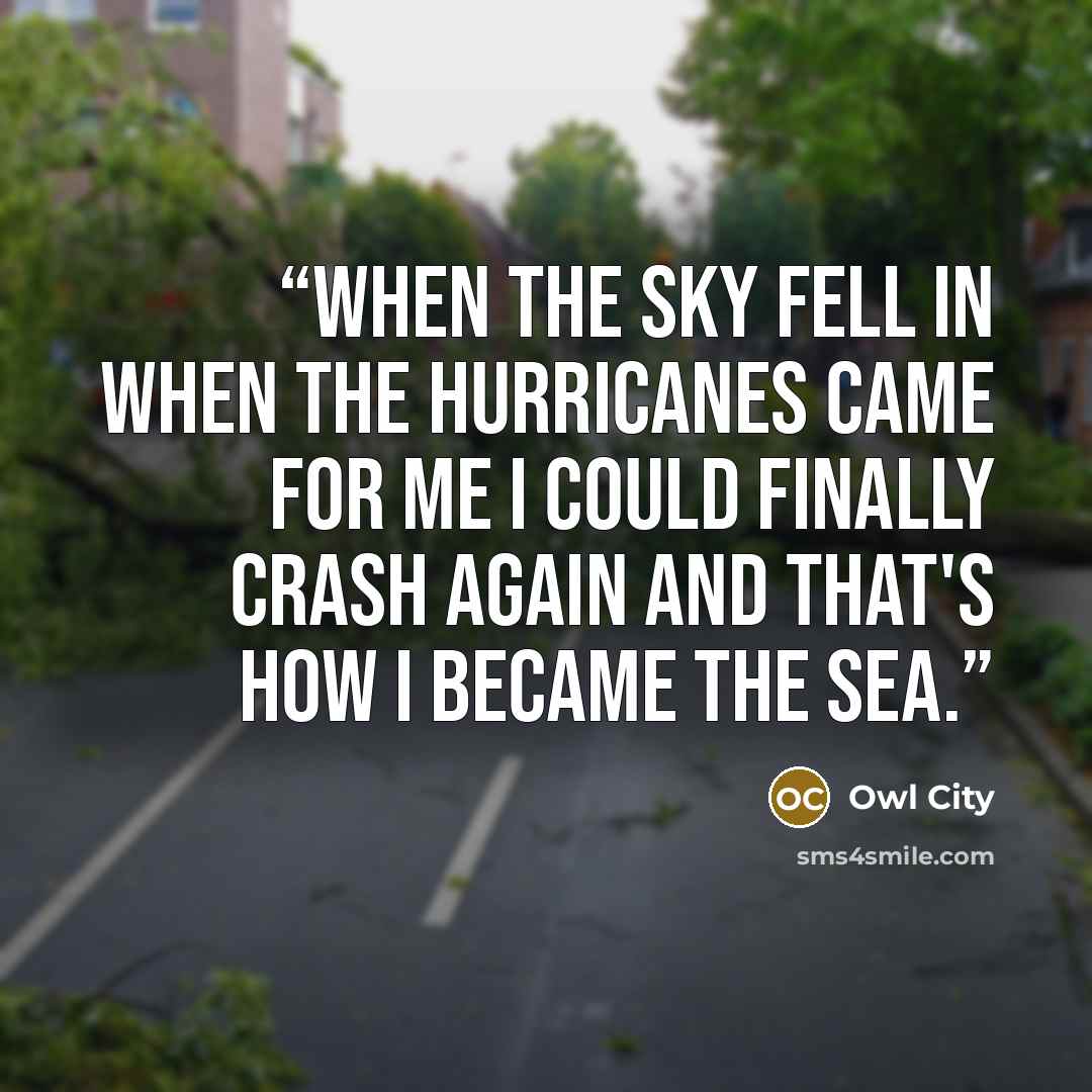 “When the sky fell in When the hurricanes came for me I could finally crash again And that's how I became the sea.” quote by Owl City