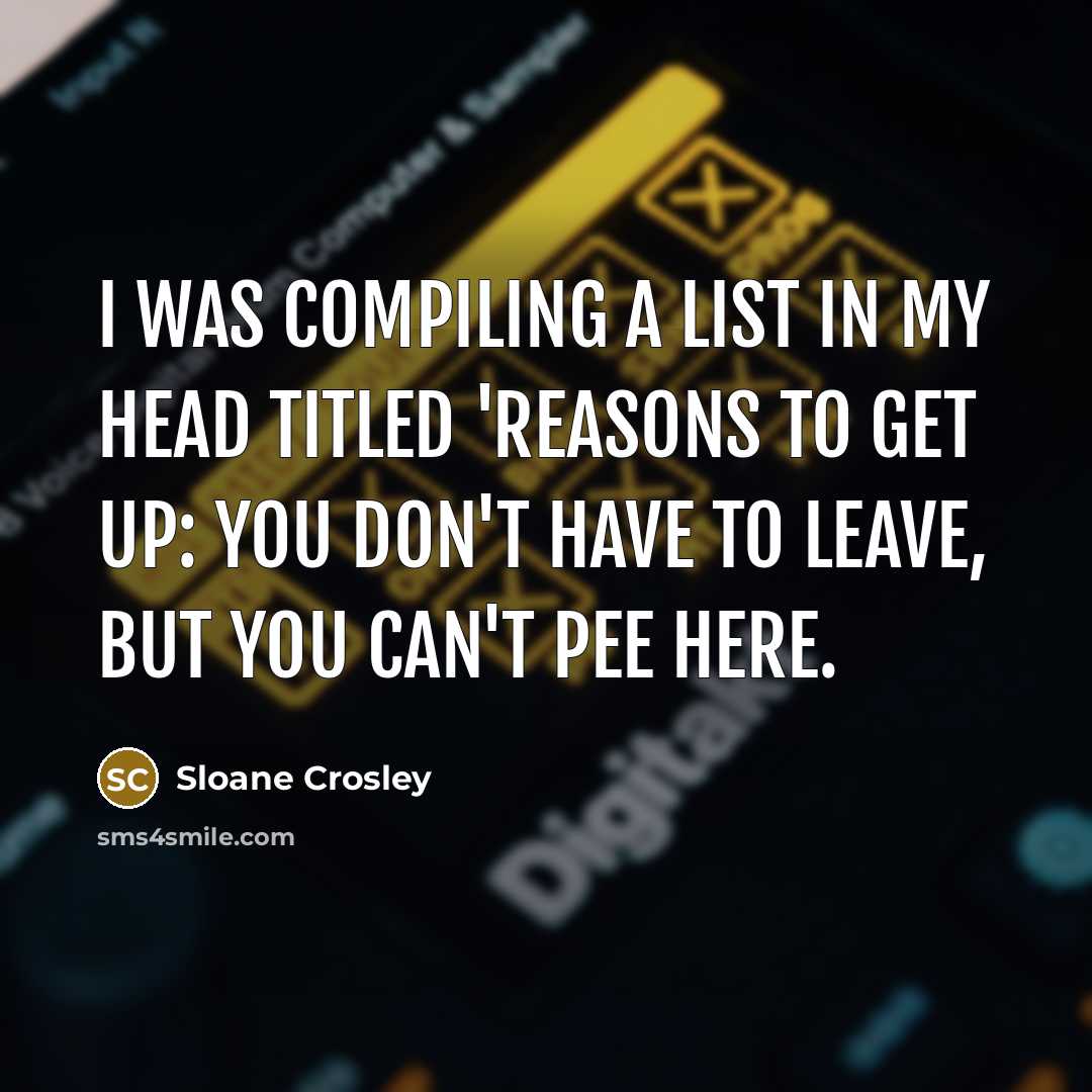 “I was compiling a list in my head titled 'Reasons…” quote by Sloane Crosley