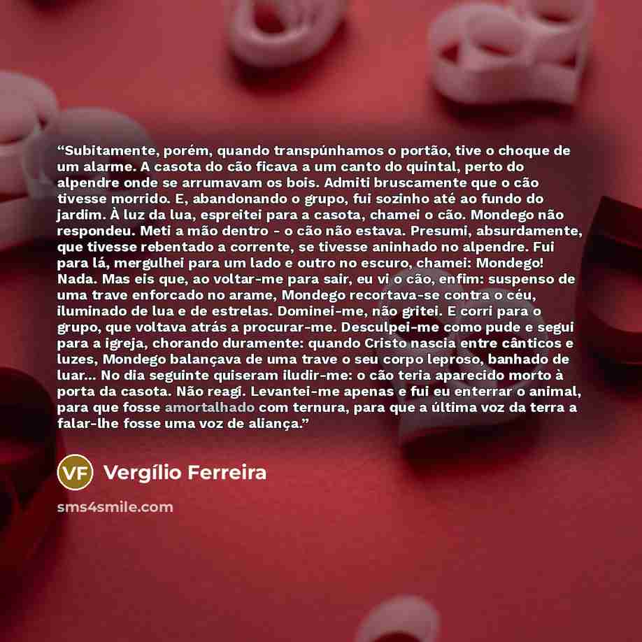 “Subitamente, porém, quando transpúnhamos o portão, tive o choque de um alarme. A casota do cão ficava a um canto do quintal, perto do alpendre onde se arrumavam os bois. Admiti bruscamente que o cão tivesse morrido. E, abandonando o grupo, fui sozinho até ao fundo do jardim. À luz da lua…” quote by Vergílio Ferreira