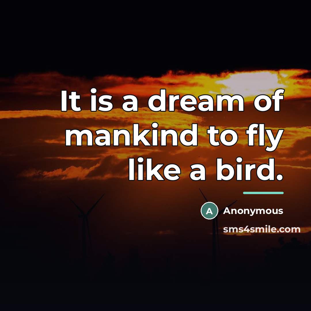“It is a dream of mankind to fly like a…” quote by Marcus Fischer