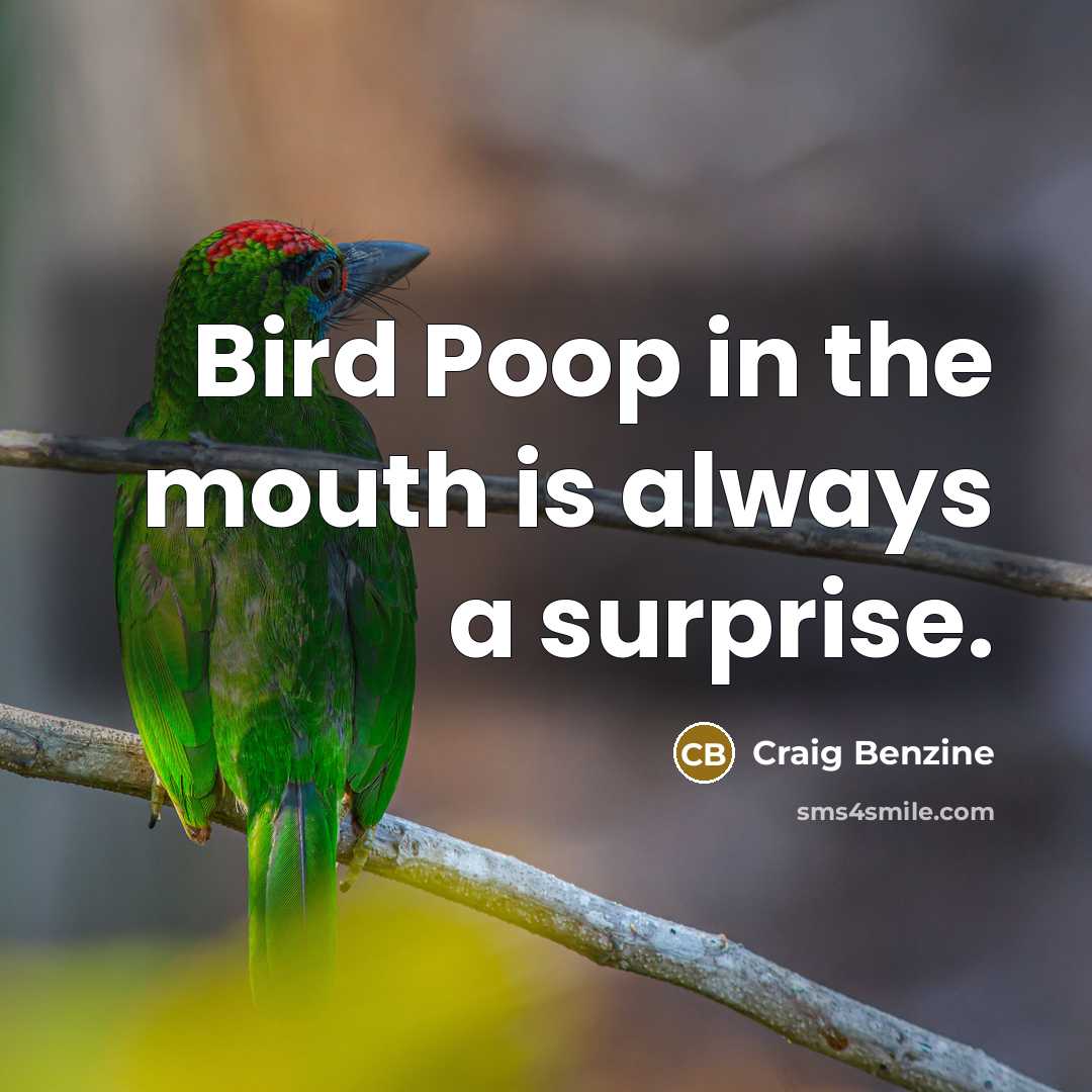 “Bird Poop in the mouth is always a surprise.…” quote by Craig Benzine