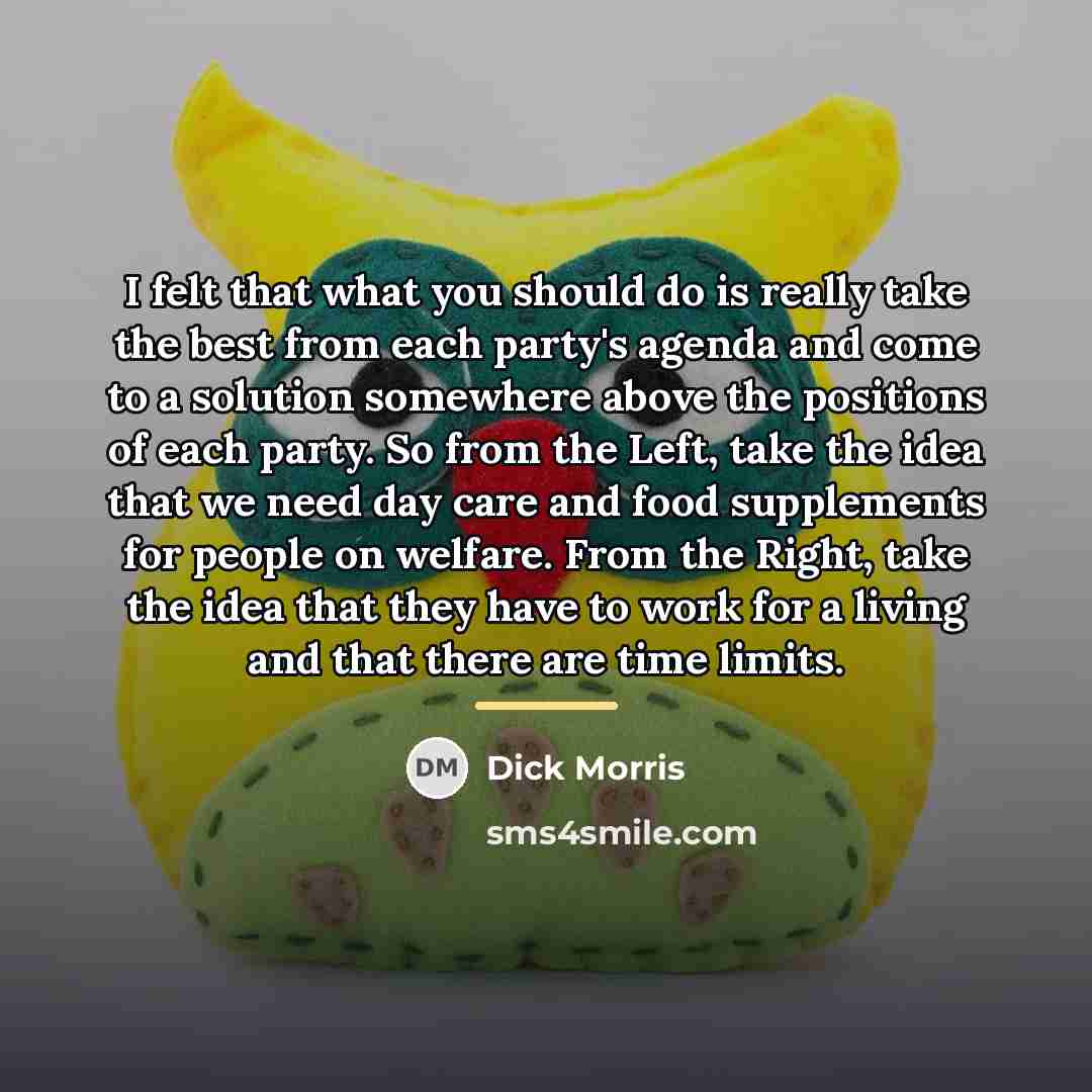 “I felt that what you should do is really take…” quote by Dick Morris