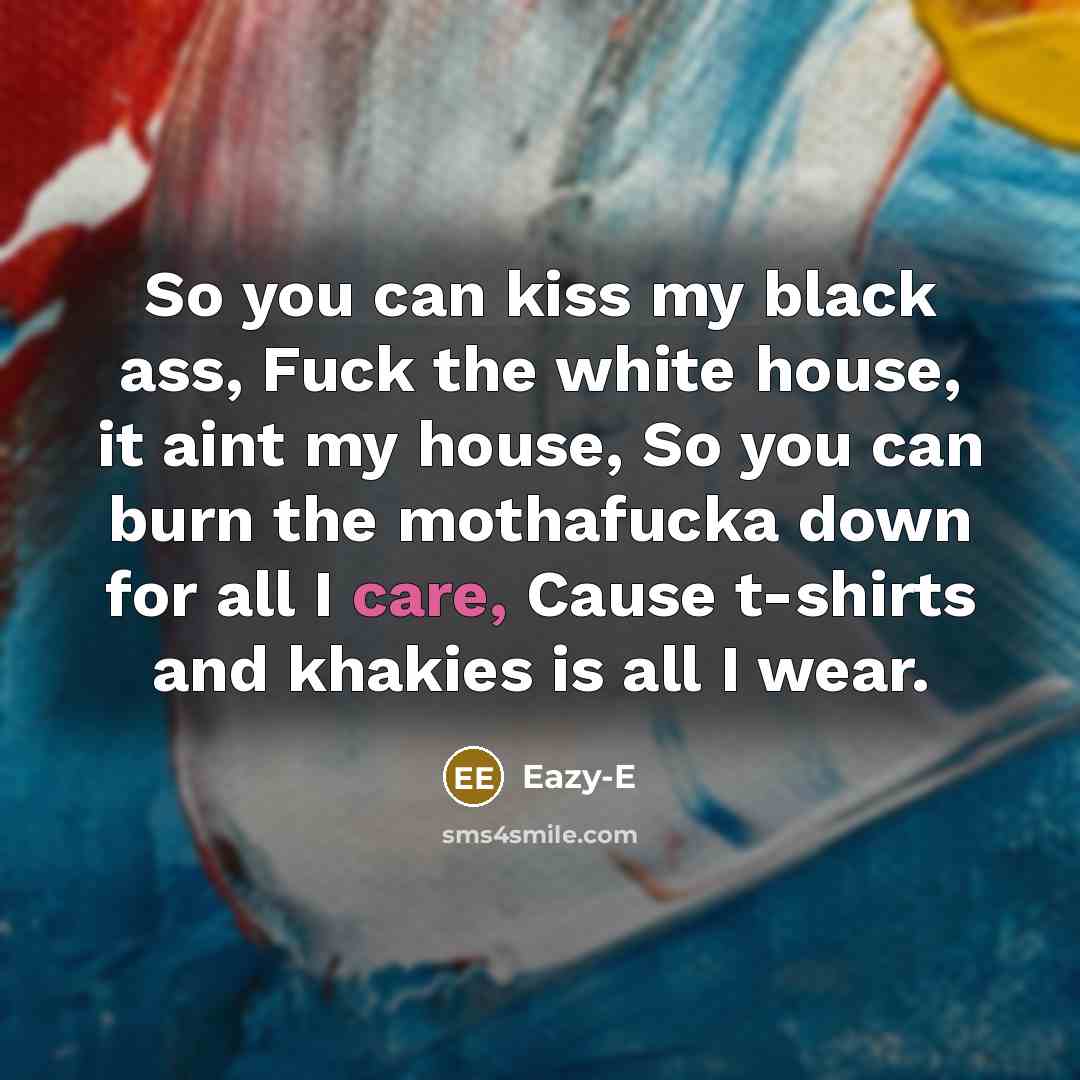 “So you can kiss my black ass, Fuck the white house, it aint my house, So you can burn the mothafucka down for all I care, Cause t-shirts and khakies is all I wear.” quote by Eazy-E