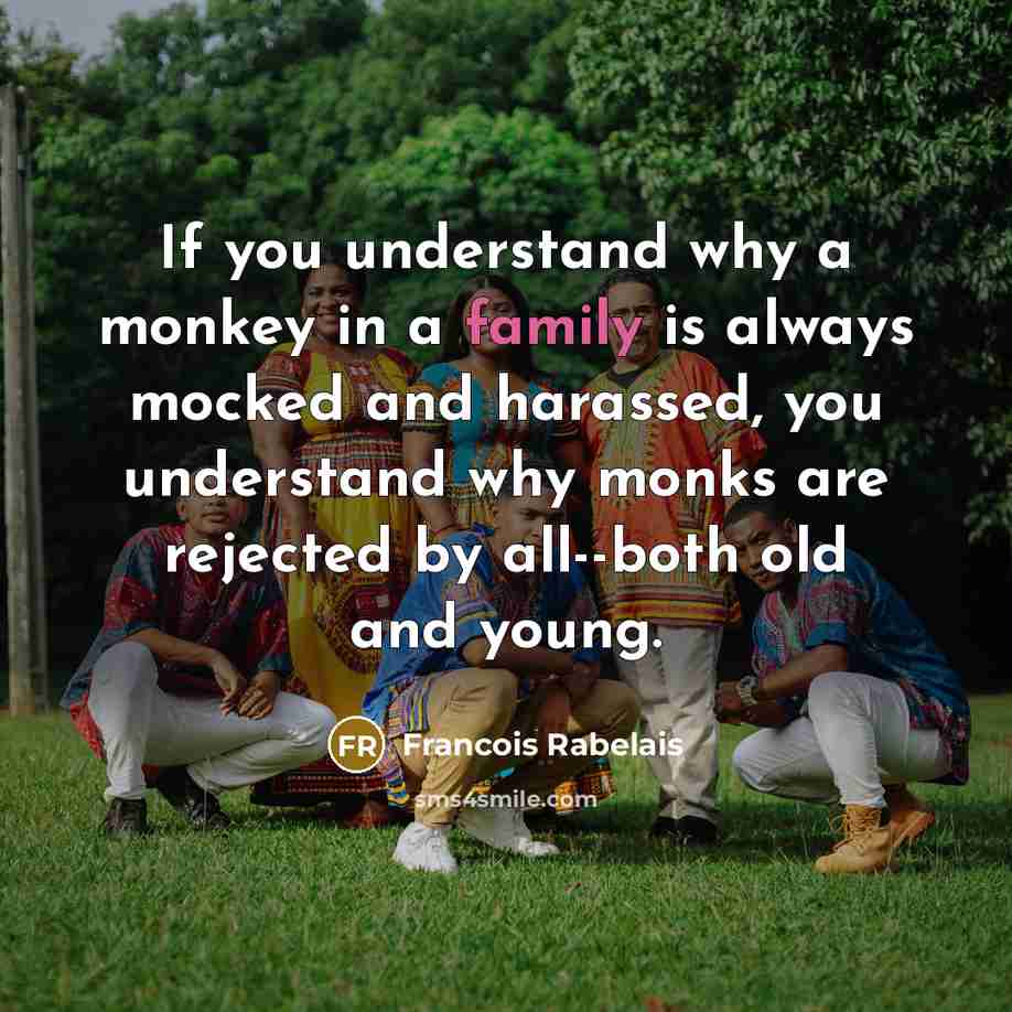 “If you understand why a monkey in a family is…” quote by Francois Rabelais