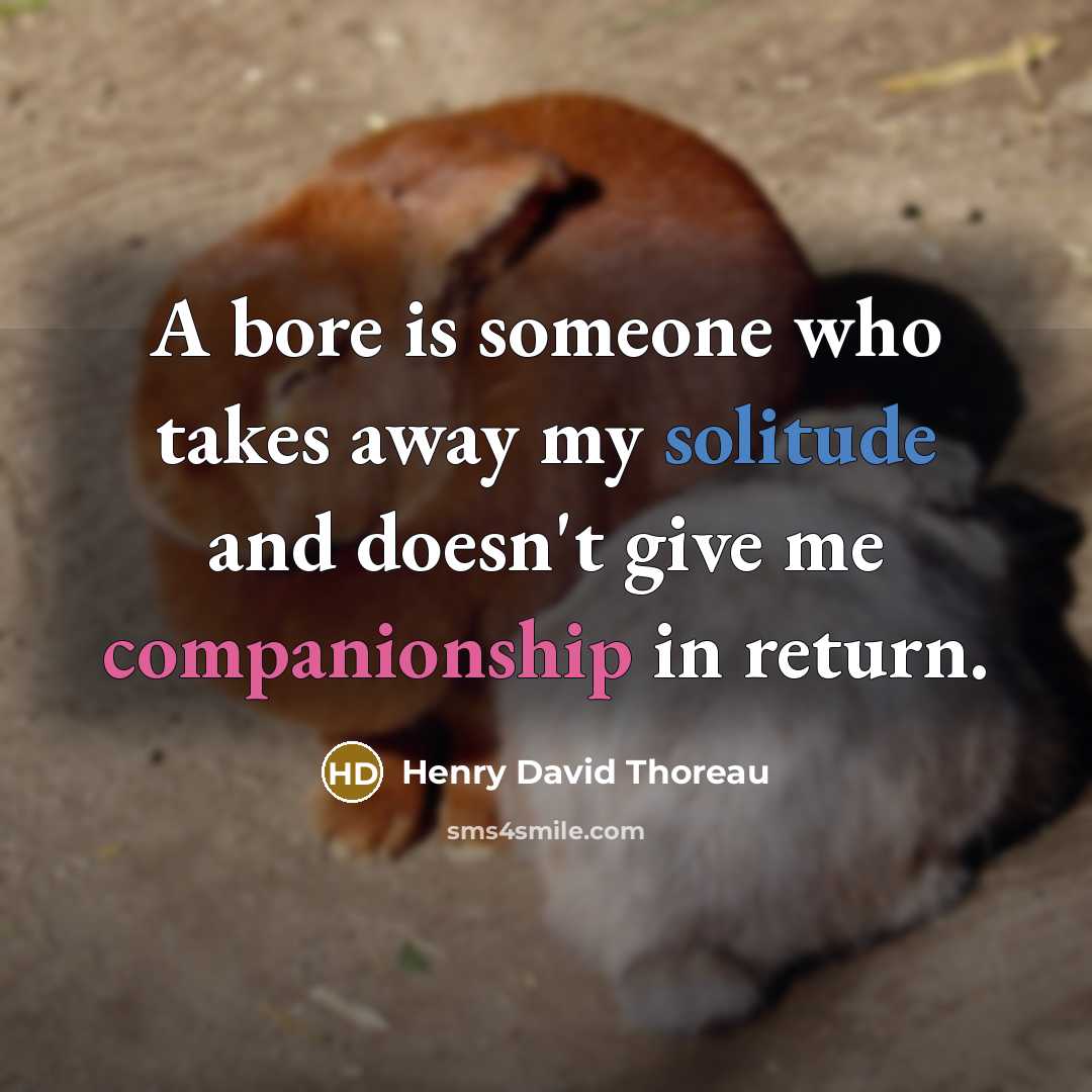 “A bore is someone who takes away my solitude and doesn't give me companionship in return.” quote by Henry David Thoreau
