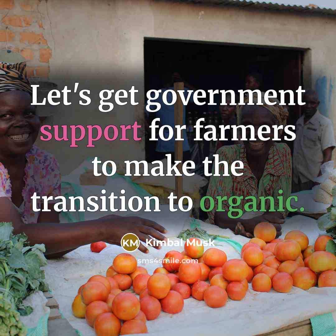 “Let's get government support for farmers to make the transition…” quote by Kimbal Musk