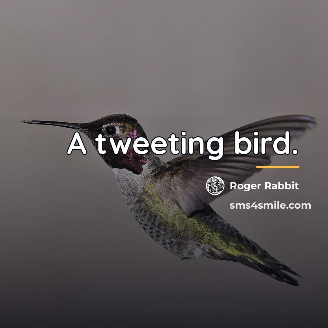 “A tweeting bird.…” quote by Roger Rabbit