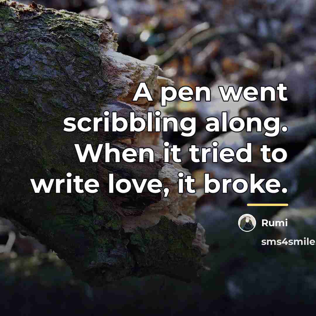 “A pen went scribbling along. When it tried to write…” quote by Rumi