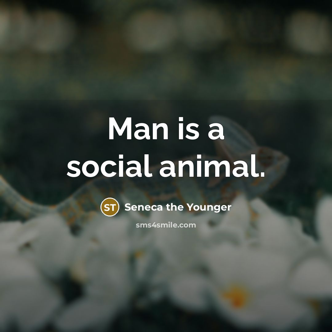 “Man is a social animal.…” quote by Seneca the Younger