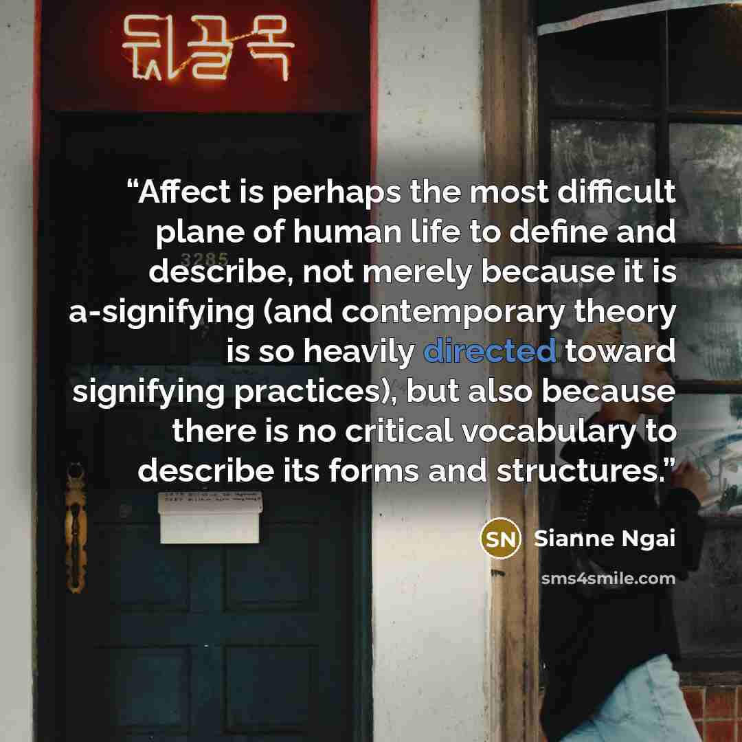“Affect is perhaps the most difficult plane of human life to define and describe, not merely because it is a-signifying (and contemporary theory is so heavily directed toward signifying practices), but also because there is no critical vocabulary to describe its forms and structures.” quote by Sianne Ngai