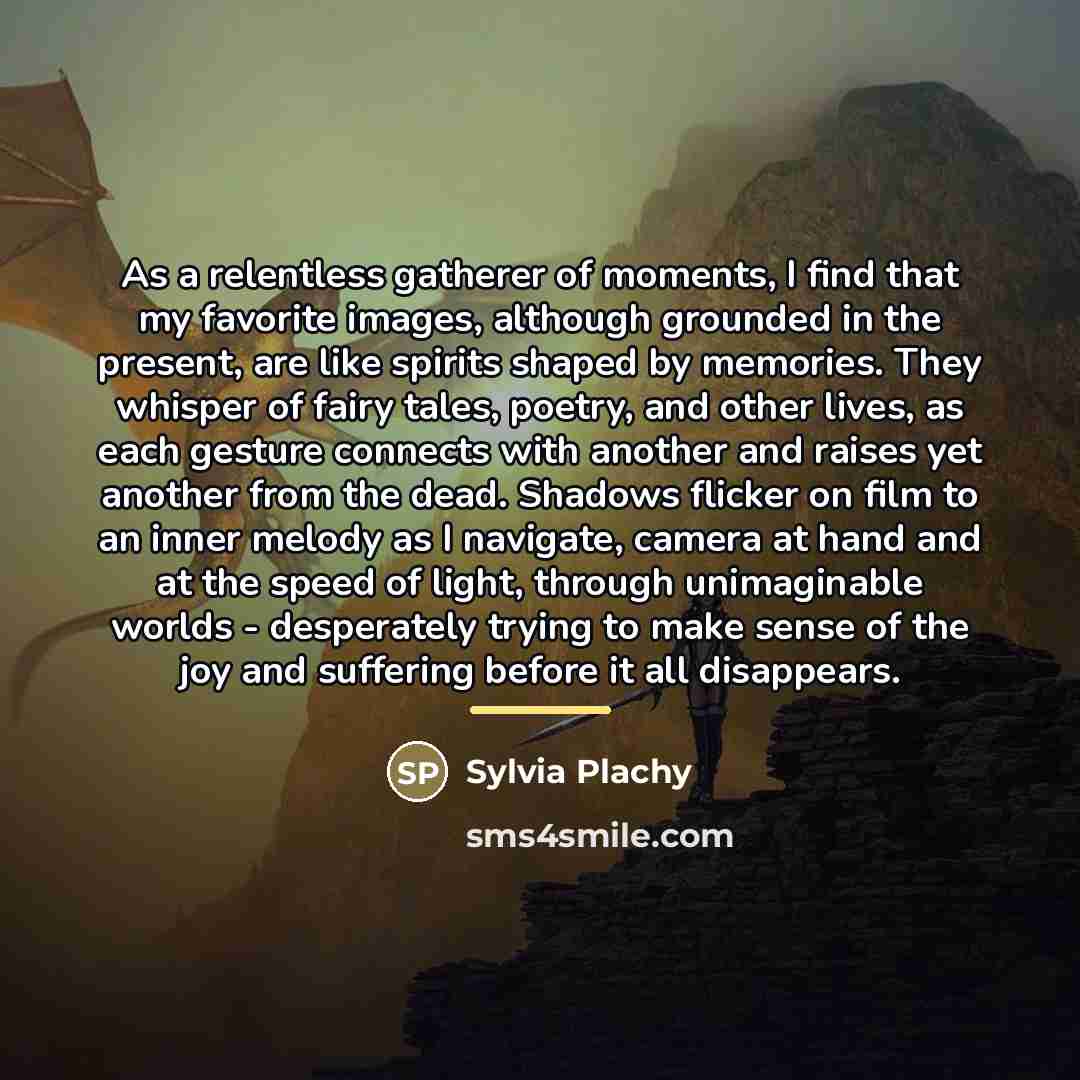 “As a relentless gatherer of moments, I find that my…” quote by Sylvia Plachy