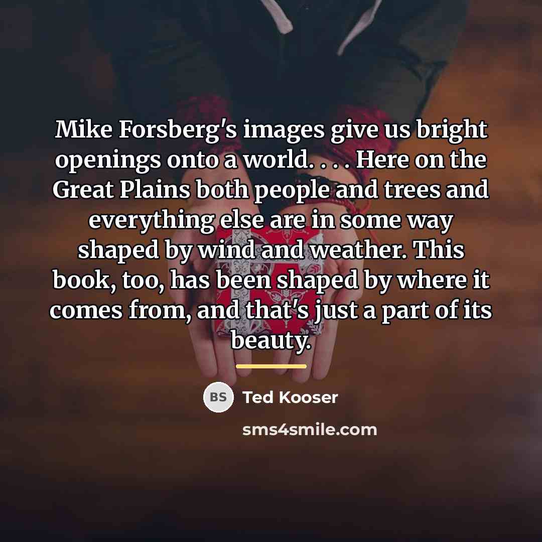“Mike Forsberg's images give us bright openings onto a world.…” quote by Ted Kooser