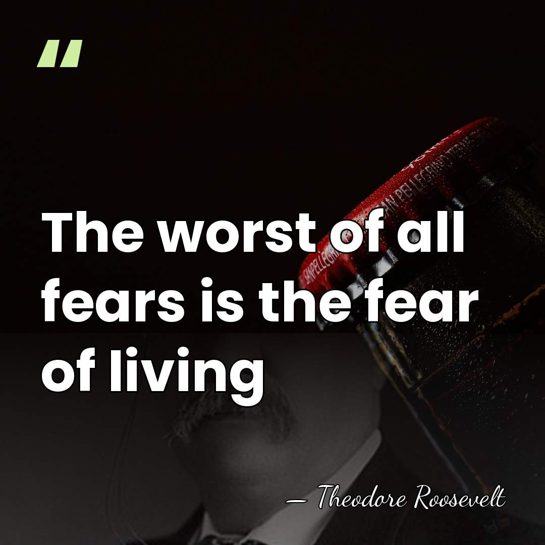 The worst of all fears is the fear of living - Theodore Roosevelt