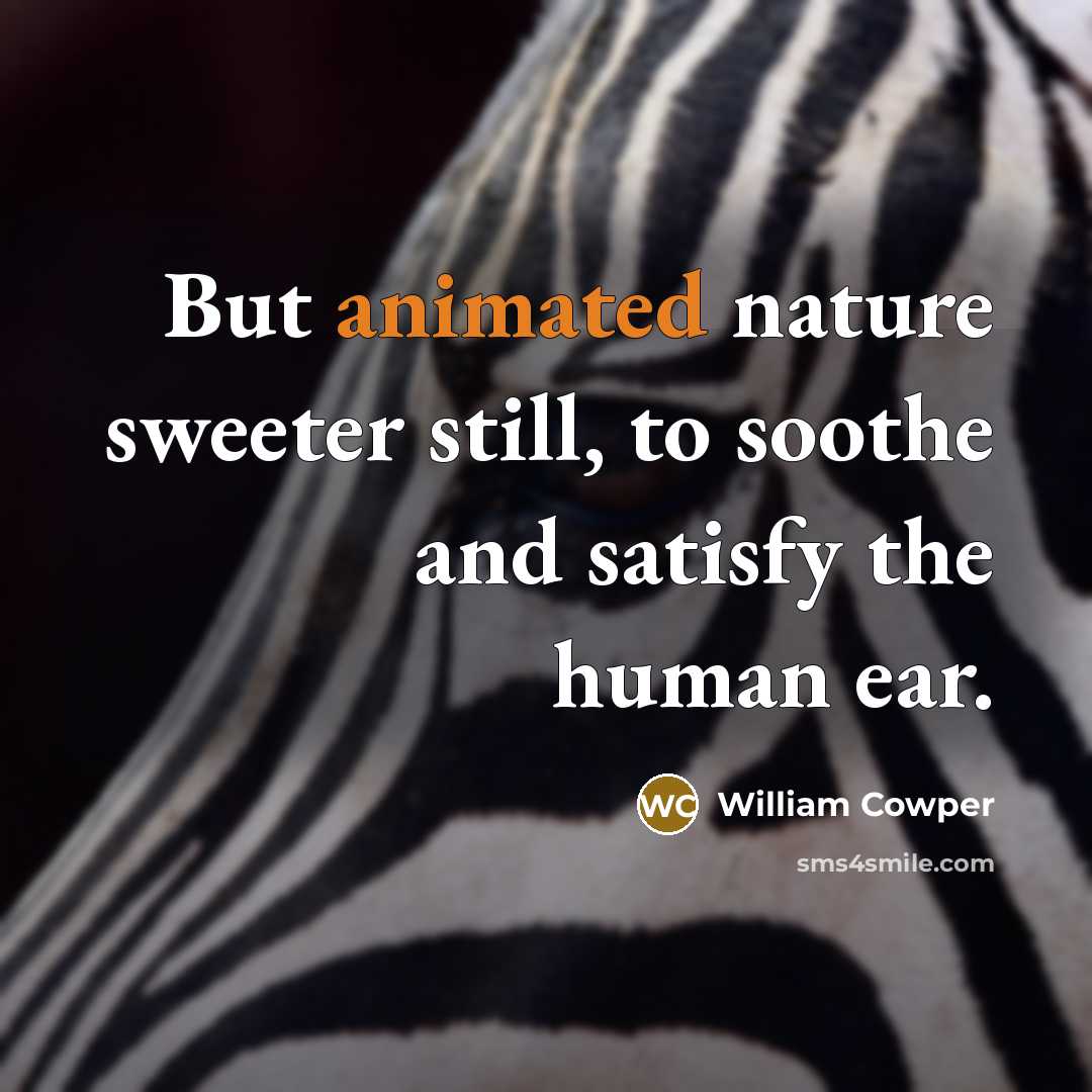 “But animated nature sweeter still, to soothe and satisfy the…” quote by William Cowper